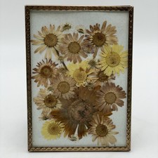 Vintage dried pressed for sale  Louisville