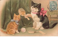 Mikifp9 001 chat d'occasion  France