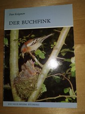 Buchfink gebraucht kaufen  Sontheim