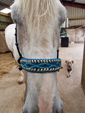 Bitless bridle extra for sale  DUMFRIES