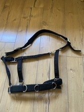 Halfter kappzaum full gebraucht kaufen  Anklam-Umland l