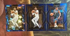 Panini select basketball gebraucht kaufen  Neuhaus am Rennweg