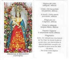 Madonna belvedere carovigno usato  Forli