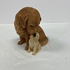 Sandicast golden retriever for sale  Salina