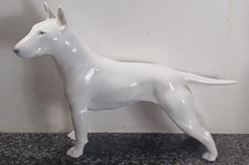 bullterrier bull terrier for sale bullterrier bull terrier for sale NEWCASTLE UPON TYNE