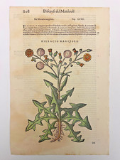 Mattioli xilografia 1500 usato  Treviso