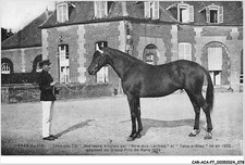 Acap7 0479 haras d'occasion  France