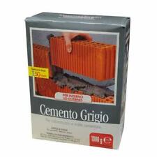 Cemento pronto grigio usato  Borgo San Dalmazzo