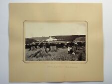 Foto da década de 1870 Farmers Harvesting White Leaf Cross Prince's Risborough comprar usado  Enviando para Brazil