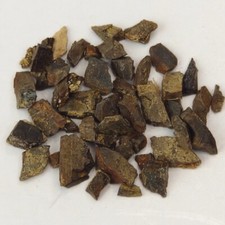 Allosaurus tooth piece for sale  Rockledge