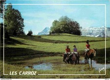 Animaux chevaux carroz d'occasion  Fruges