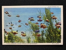 Vintage florida postcard. for sale  Tinley Park
