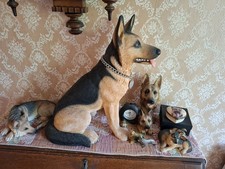 Alsatian german shepherd for sale  KINGSWINFORD