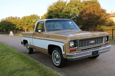 1973 chevrolet for sale  Birmingham