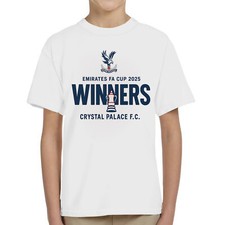 Crystal palace cup for sale  UK