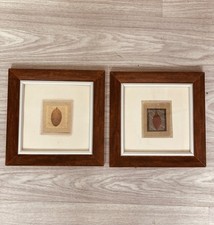 Pair framed botanical for sale  FAREHAM