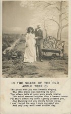 Shade old apple for sale  Harlingen