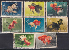 Uma boa coleção de peixe dourado chinês 1960 valor gato grupo comprar usado  Enviando para Brazil