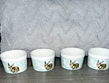 bunnies pet sweet for sale bunnies pet sweet for sale Philadelphia
