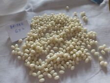Używany, lot de 600 perle ancienne blanc cassé ivoire perle de Briare olive ovale na sprzedaż  Wysyłka do Poland