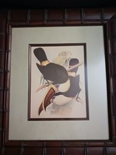 print frame toucan for sale print frame toucan for sale Palatka