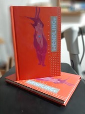 Artbook claire wendling usato  Venegono Superiore