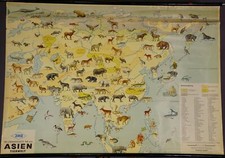 Wildtiere tiere bild gebraucht kaufen  Deutschland