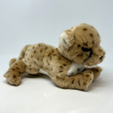 Chillin cheetah cub for sale  Broomfield