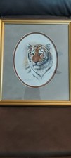 Charles frace bengal for sale  Saint Charles