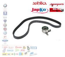 Kit distribuzione piaggio usato  Italia