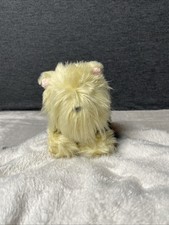 American girl yorkie for sale  Sacramento