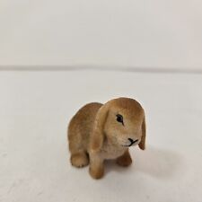 Dwarf lop bunny for sale  Meridian