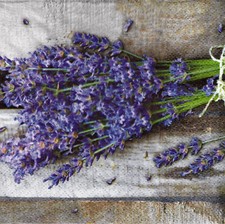 Servietten sommer blumenstrau� gebraucht kaufen  Erfurt