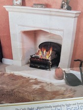 Open gas fire for sale  AXMINSTER