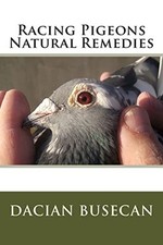 Racing pigeons natural for sale  UK