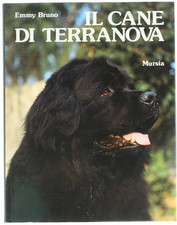Cane terranova. bruno usato  Villarbasse