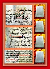 Canon medicinae avicenna gebraucht kaufen  Sömmerda
