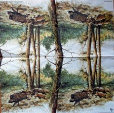 Servietten wildschweine wald gebraucht kaufen  Frankfurt am Main