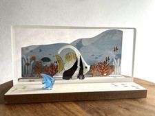 Assembled aquarium d'occasion  Expédié en Belgium