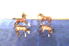 Beswick brown foals for sale  HIGHBRIDGE
