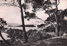 Saint raphael lion d'occasion  France
