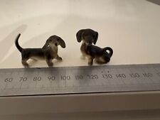 Miniature dashund cute for sale  WARRINGTON