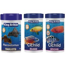 King british cichlid for sale  WOLVERHAMPTON