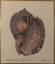 Pink shell custom for sale  Omaha