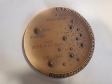 Medaglia cai scuola usato  Italia