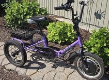 Purple liberty electric for sale  Gresham
