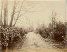 Strand. angleterre bedford d'occasion  Pagny-sur-Moselle