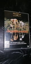 Dvd incredibile avventura usato  Stignano