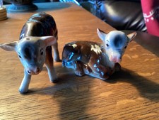 miniature calves for sale  Soquel