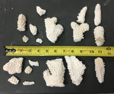 Vintage natural white for sale  Ormond Beach